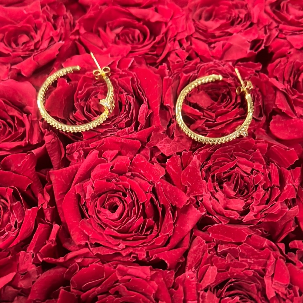 Gold screw style hoops
